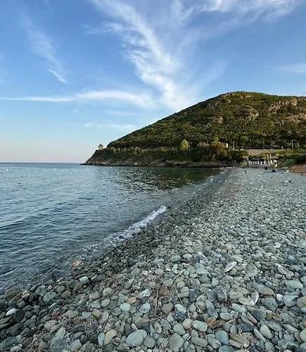 Belle Avec Piscine Vue Mer- Cap Corse